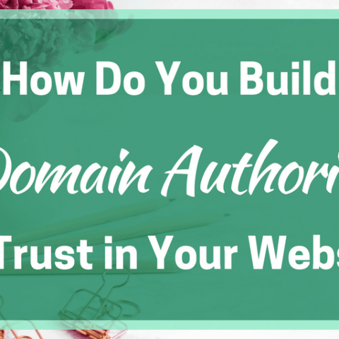 Image for How Do You Build Domain Authority and Trust in Your Website?