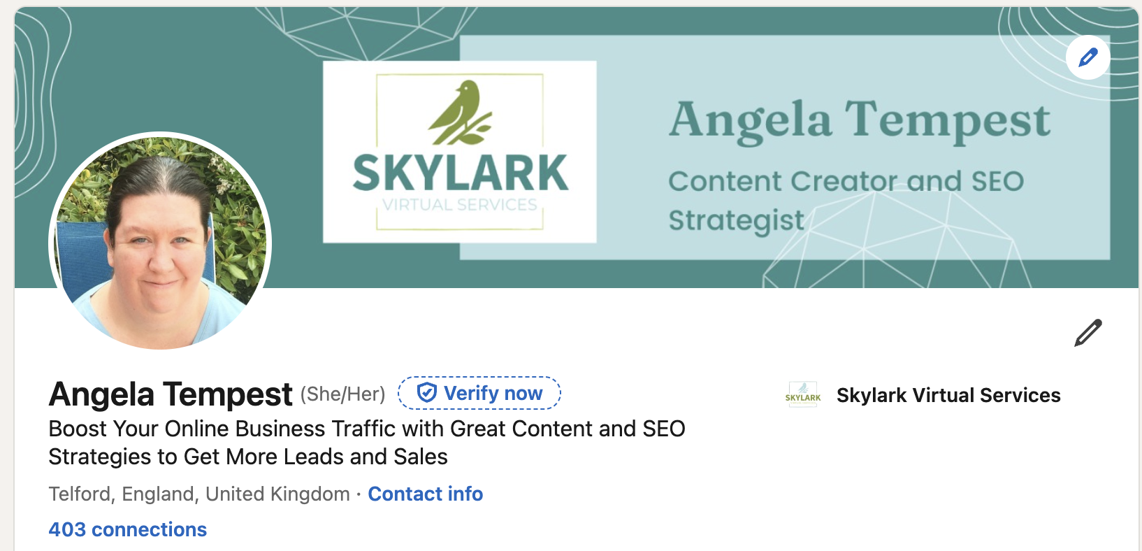 How to Use LinkedIn for Your Online Business - Skylark Virtual Services
